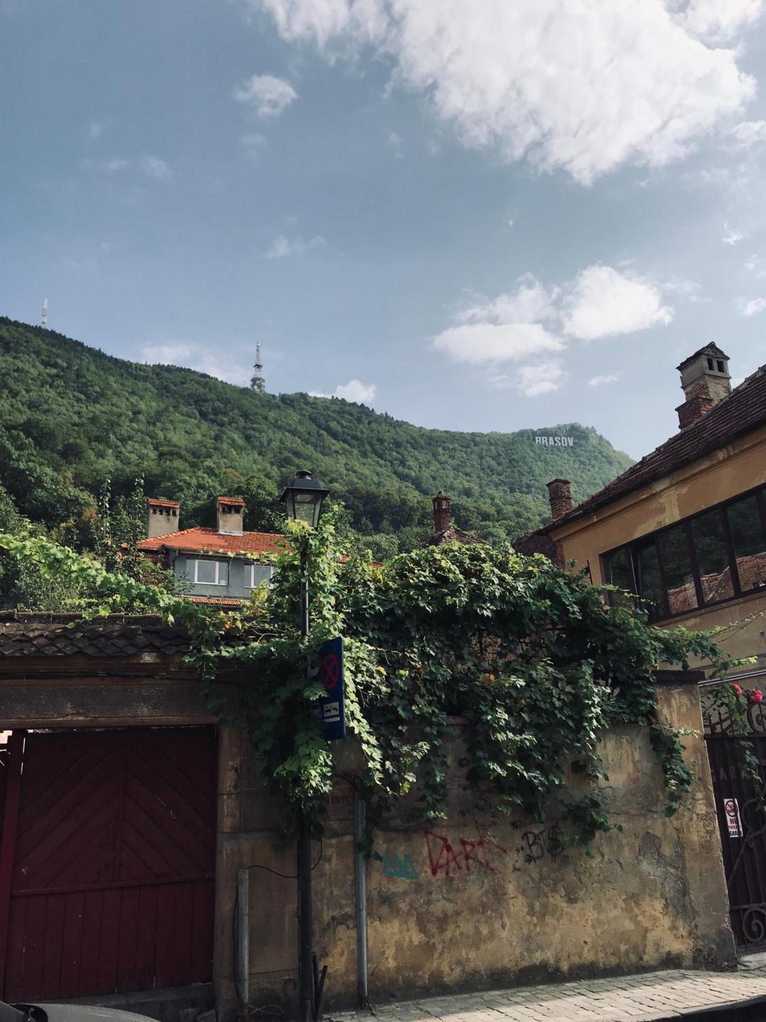 Lovely Brasov Flat With Patio And Mountain Views 外观 照片